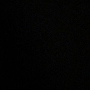 Meet your Posher, Sidney